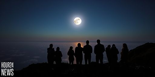 First supermoon of 2026 to light up New Zealand skies