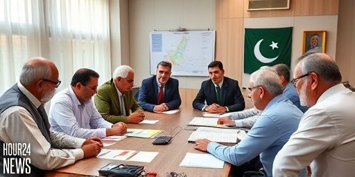 Stronger Local Government: Khawaja Asif Calls for a Stable Pakistan