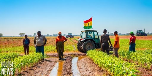 Upper East Agriculture: Govt Interventions Boost Productivity