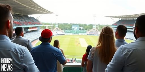 Live Update: Melbourne Stars chase 115 to stay alive in KFC BBL|15 Knockout