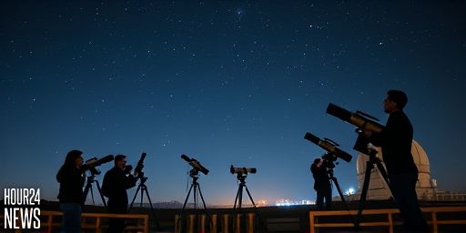 JWST Discovers Remnant of Luminous Red Nova Explosion