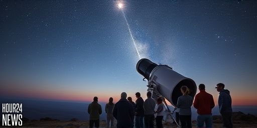 New Fear Unlocked: Runaway Black Holes