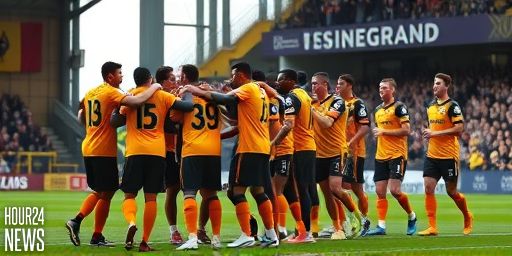 Wolves cruise to FA Cup win over Shrewsbury 6-1