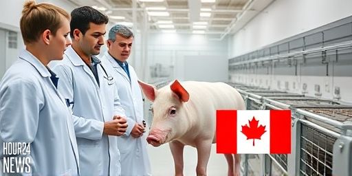 Health Canada declares gene-edited pigs safe for consumption amid PRRS resistance breakthrough