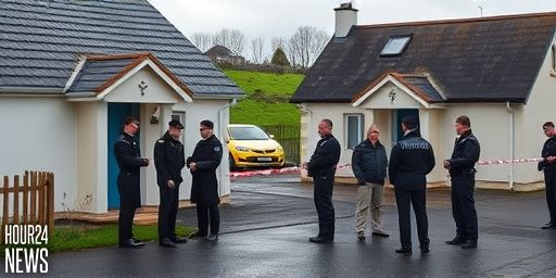 Two Arrested After More Than €300k Worth of Drugs Seized in Cork and Limerick