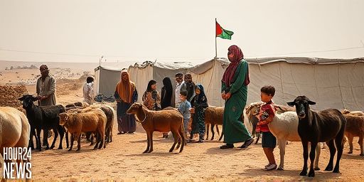 West Bank Bedouin Displacement: Settler Violence and Forced Evictions