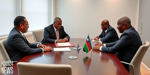 Namibia’s President Seeks Legal Opinion on Paragon Oil PEL 37 Renewal