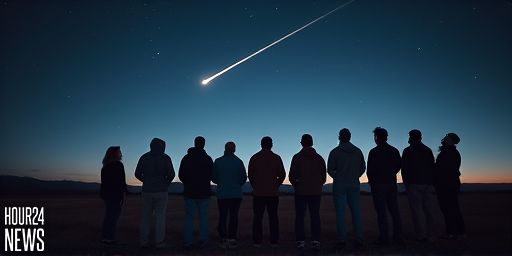 Will Comet C/2025 R3 PanSTARRS Be the Great Comet of 2026?