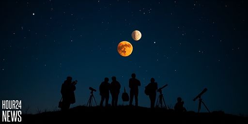 Mars and Venus Buzz the Beehive: A Southern Hemisphere Skywatcher’s January Treat