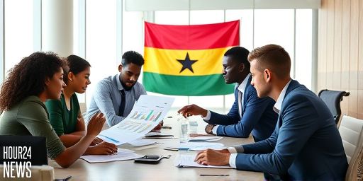 Ghana Bank of Ghana Recapitalisation Moves Forward as Government Pledges Support