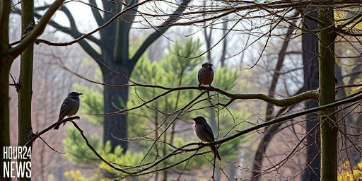Native Trees Boost Chick Numbers in Woodland Birds