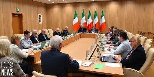 Limerick Council Overspend Sparks Heated Meeting in Ireland