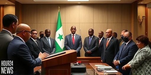 Ivory Coast Elevates Defence Minister as New Vice Prime Minister in Cabinet Shake-up