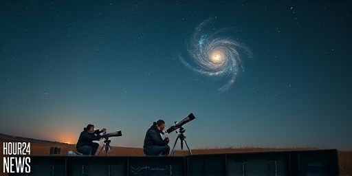 Do All Stars Exist in Galaxies? Exploring Intergalactic Stars