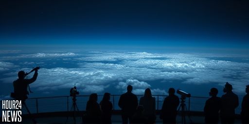 A Mystery Object Anchors a 120-Million-Mile Cloud of Vaporized Metal