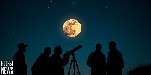 Three Stunning Lunar Craters to Explore on the First Quarter Moon Tonight