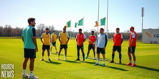 Seán O’Connor on Josh Cullen’s ACL Injury: A Door Opens for Ireland’s Midfield Options