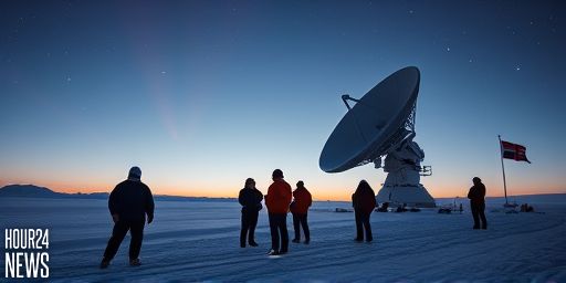 Stellar Fireworks at the Milky Way’s Core: Antarctic Watch