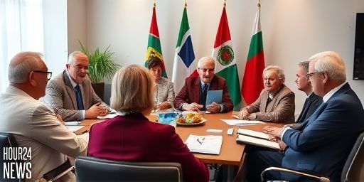 Constitutional Rotational Presidency for North-South Equity: A Path to Stability