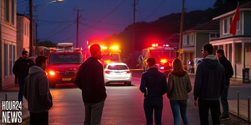 Port Chalmers Crash: One Dead, Two Injured After Wickliffe Terrace Collision
