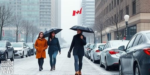 Toronto Braces for Morning Commute as Heavy Snowfall Forecasted