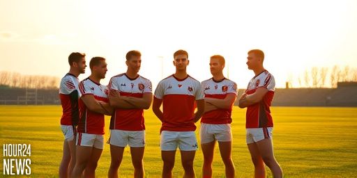 Ballygunner on the cusp of greatness: The quest to become a hurling legend