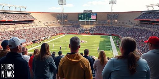 NFL’s Final Four Playoff Teams Ranked by Their Super Bowl 60 Odds