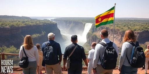 Zimbabwe VAT Change Puts Pressure on 2026 Bookings