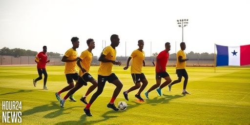 Focus on Panama: Agyemang-Badu’s World Cup Advice for Ghana