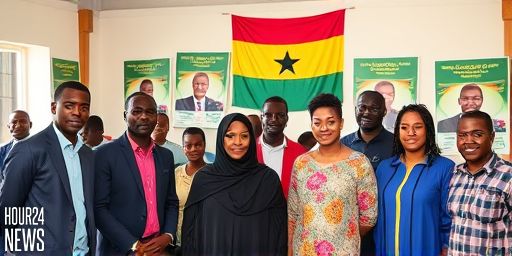 Widow and Five Others Enter Ayawaso East NDC Primary Race