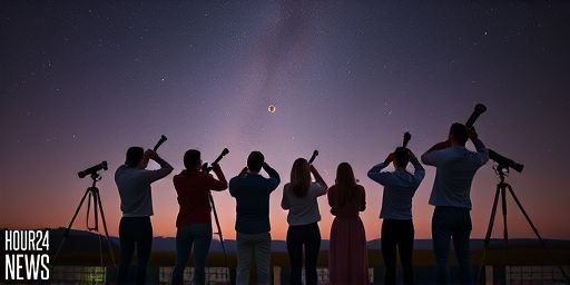 New Moon January 2026: Prime Views of Jupiter and Saturn Tonight