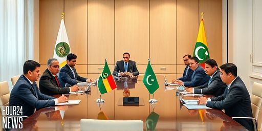 Pakistan-Myanmar Bilateral Ties Expand as PM Meets Myanmar FM