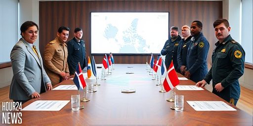 Middle Powers Unite: A Counter-Trump Playbook for Greenland and Beyond