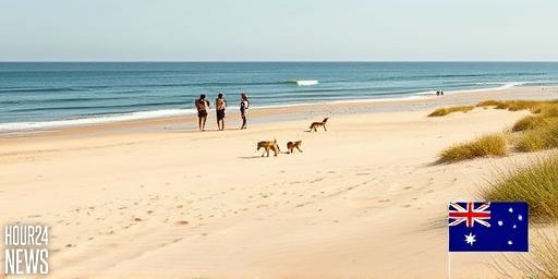 Tragic Australian Beach Incident: 19-Year-Old Canadian Woman Found Dead Surrounded by Dingoes