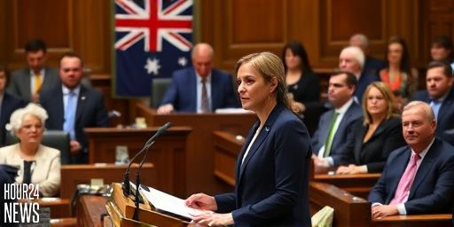 Helen Burnet quits Greens to sit as Tasmanian independent