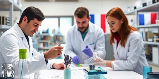 Sodium-Ion Battery Breakthrough with Cheap Electrodes