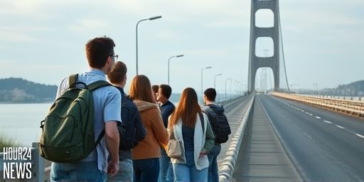 NZTA Warns After Viral Video of Teens Jumping from Auckland Harbour Bridge