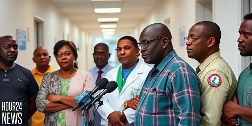 Chimamanda Adichie’s Son Death Sparks Nigeria Healthcare Reform