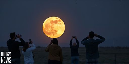 Wolf Supermoon 2026: Your Essential Guide to the First Full Moon of the Year