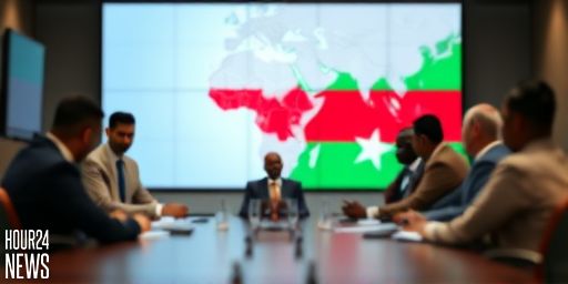 Somalia Expels Emirati Companies Over Secessionist Ties: A New Strain in Gulf-East Africa Politics