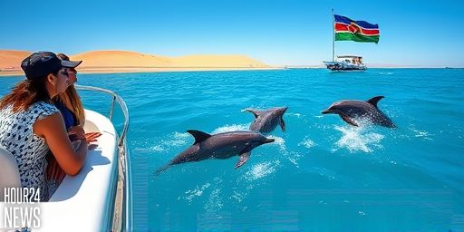 Dolphin Boom in Namibian Waters: Thousands of Sightings Mark a Year of Marine Stewardship