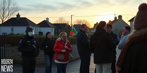 Probe Launched After Series of Early Morning Assaults in Dublin’s Malahide