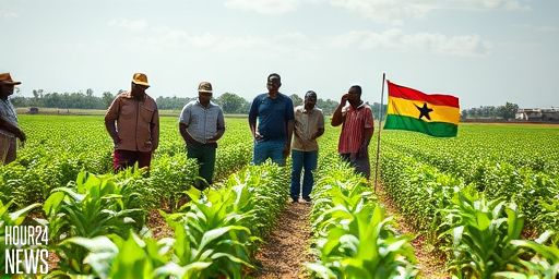 How Government Interventions Are Driving Agricultural Gains in Ghana’s Upper East