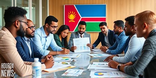 Self-Enrichment Is Not Empowering: Namibia’s Oil Licences and Public Resources