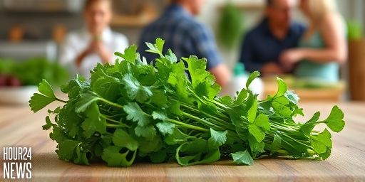 Watercress: The Top Anti-Aging Food for Radiant Skin Health