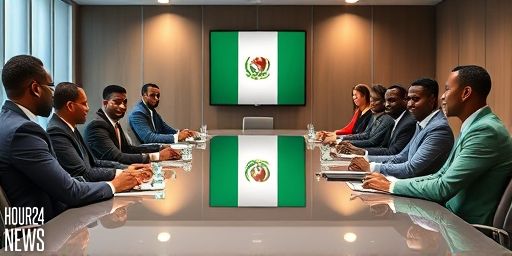 Fidelity Bank Appoints Amaka Onwughalu as New Board Chairman