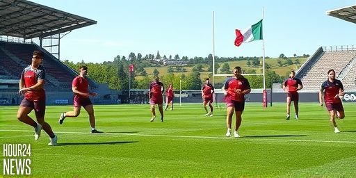 Leinster deflects blame as Connacht 4G pitch comes under scrutiny after Jack Boyle injury