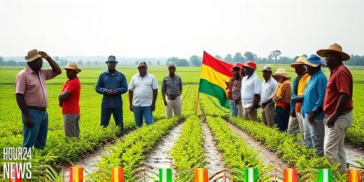 Government Interventions Boost Agricultural Productivity in the Upper East