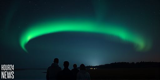 Unraveling Auroral Arcs: What Powers These Sky Phenomena