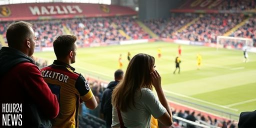 Watford 0-2 Swansea City: Stamenic seals the win after a stubborn Hornets showing